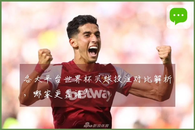 各大平台世界杯买球投注对比解析，哪家更靠谱？
