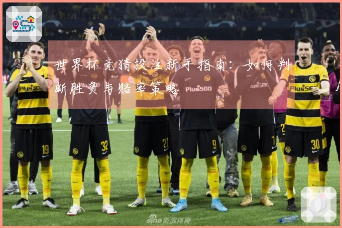 世界杯竞猜投注新手指南：如何判断胜负与赔率策略