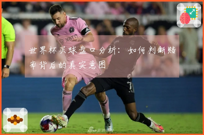 世界杯买球盘口分析：如何判断赔率背后的真实意图