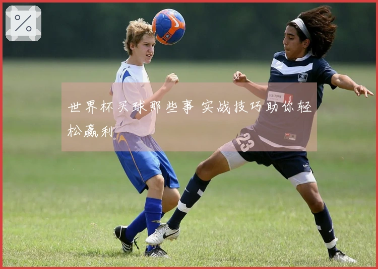 世界杯买球那些事 实战技巧助你轻松赢利