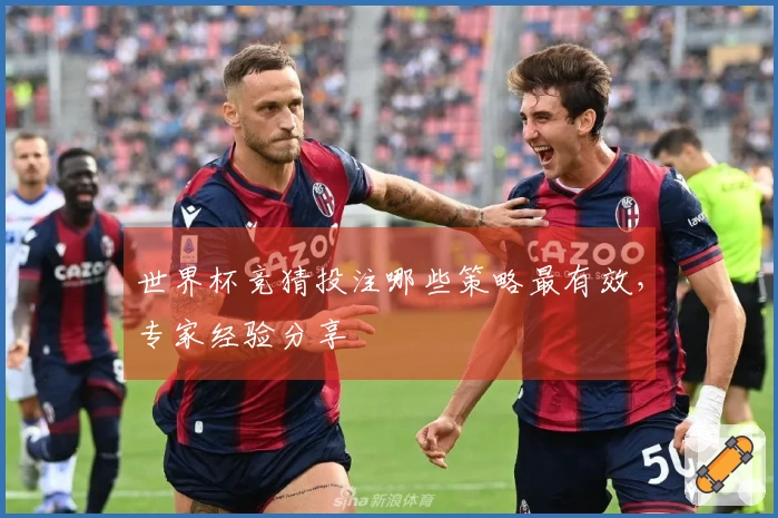 世界杯竞猜投注哪些策略最有效，专家经验分享