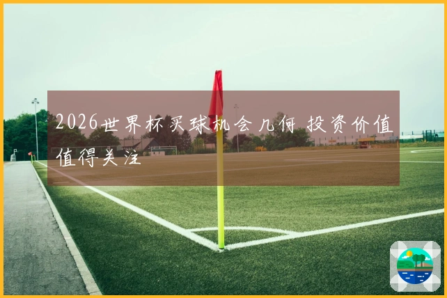 2026世界杯买球机会几何 投资价值值得关注