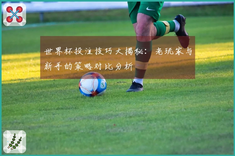 世界杯投注技巧大揭秘：老玩家与新手的策略对比分析