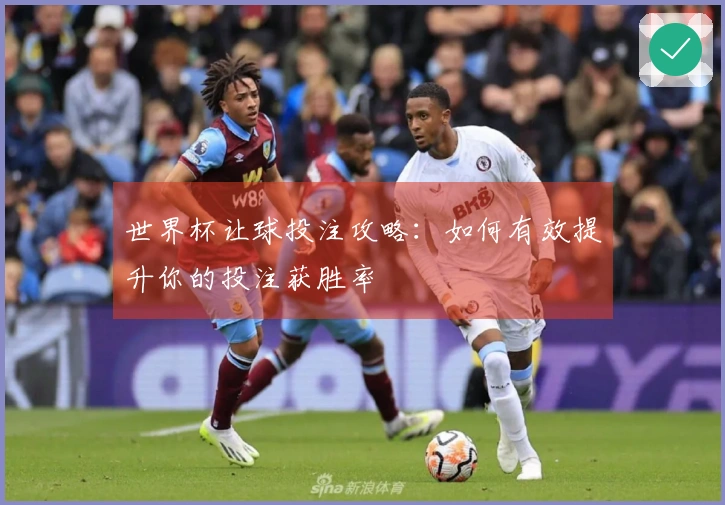 世界杯让球投注攻略：如何有效提升你的投注获胜率