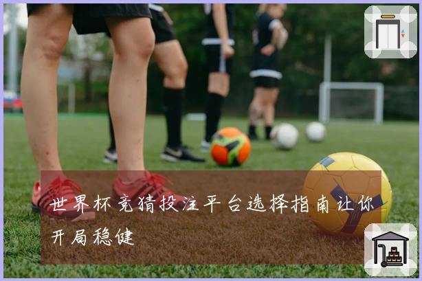 世界杯竞猜投注平台选择指南让你开局稳健