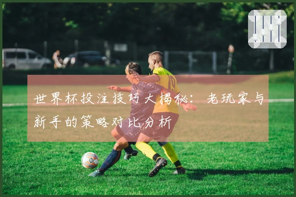 世界杯投注技巧大揭秘：老玩家与新手的策略对比分析