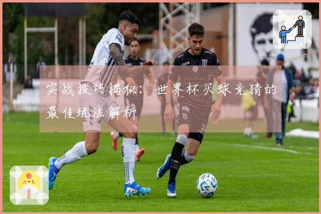 实战技巧揭秘：世界杯买球竞猜的最佳玩法解析
