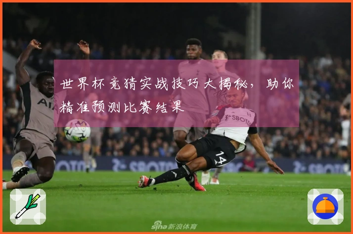 世界杯竞猜实战技巧大揭秘，助你精准预测比赛结果