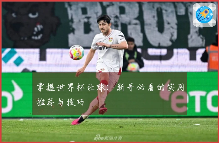 掌握世界杯让球：新手必看的实用推荐与技巧