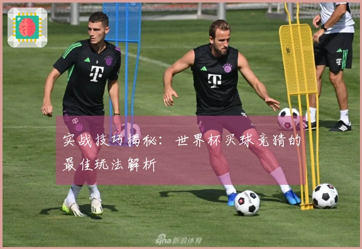 实战技巧揭秘：世界杯买球竞猜的最佳玩法解析