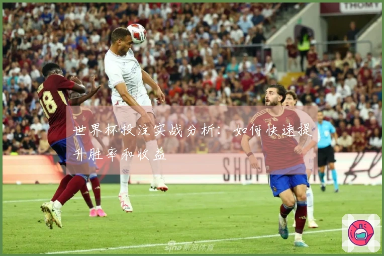 世界杯投注实战分析:如何快速提升胜率和收益
